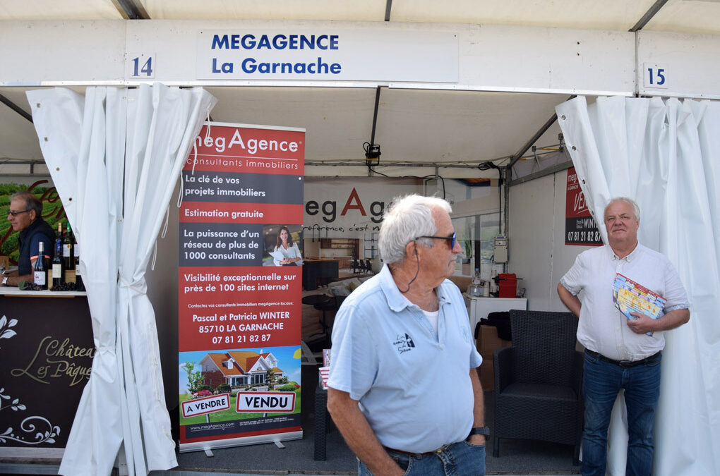 MEGAGENCE