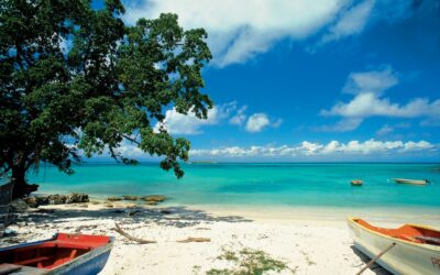 Soirée de Gala sur le thème « LES ANTILLES »